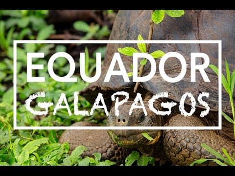 Ecuador & Galapagos - Die Top Highlights mit Viventura